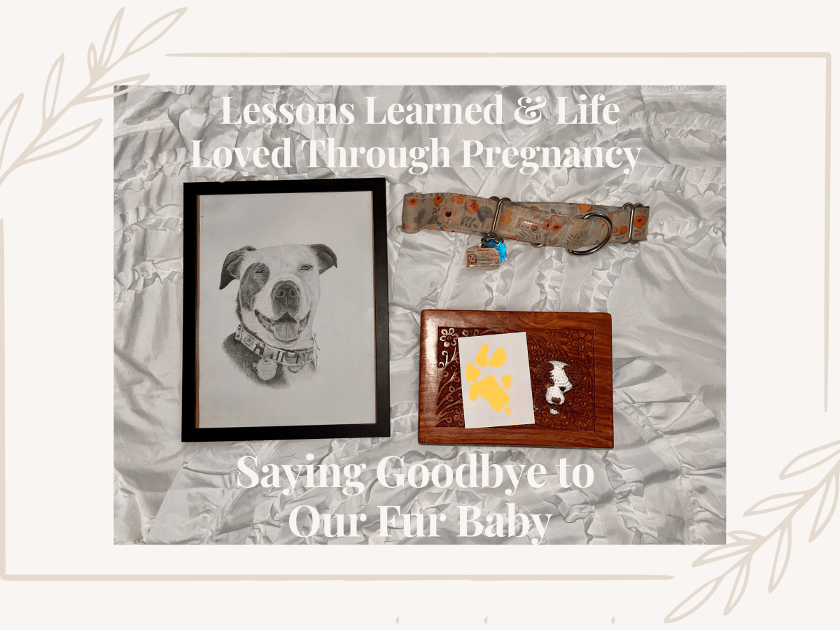 Lessons Learned & Life Loved Through Pregnancy: Saying Goodbye to Our Fur&nbsp;Baby